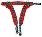 Pro - Tramp | Equipaggiamenti Acrobatici Professionali | Effetti Speciali | Spettacoli Sportivi Acrobatici